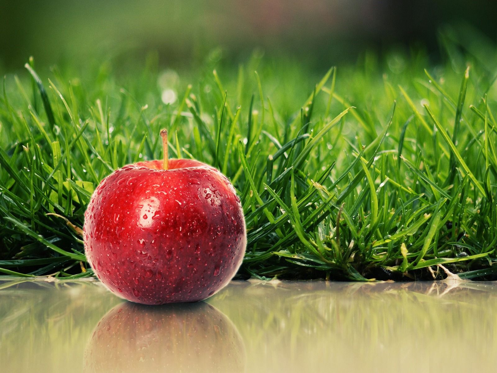 Various Fruits Wallpapers Wallpaper Cave