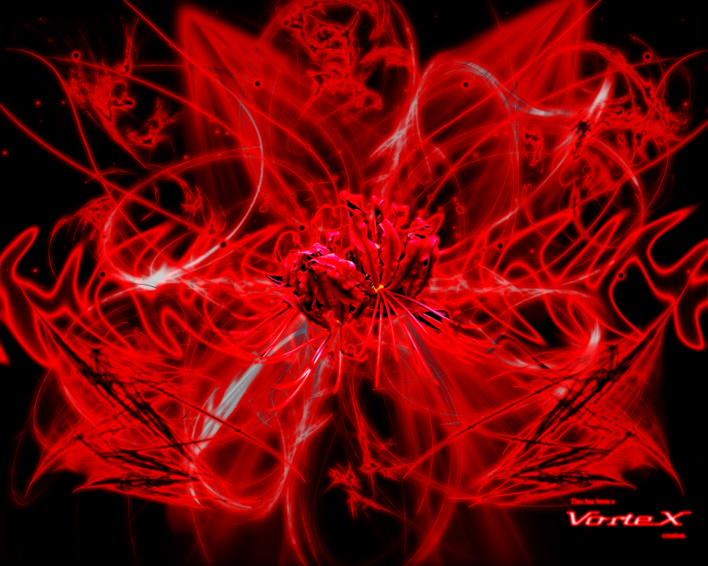 Red Spider Lily Wallpapers Wallpaper Cave