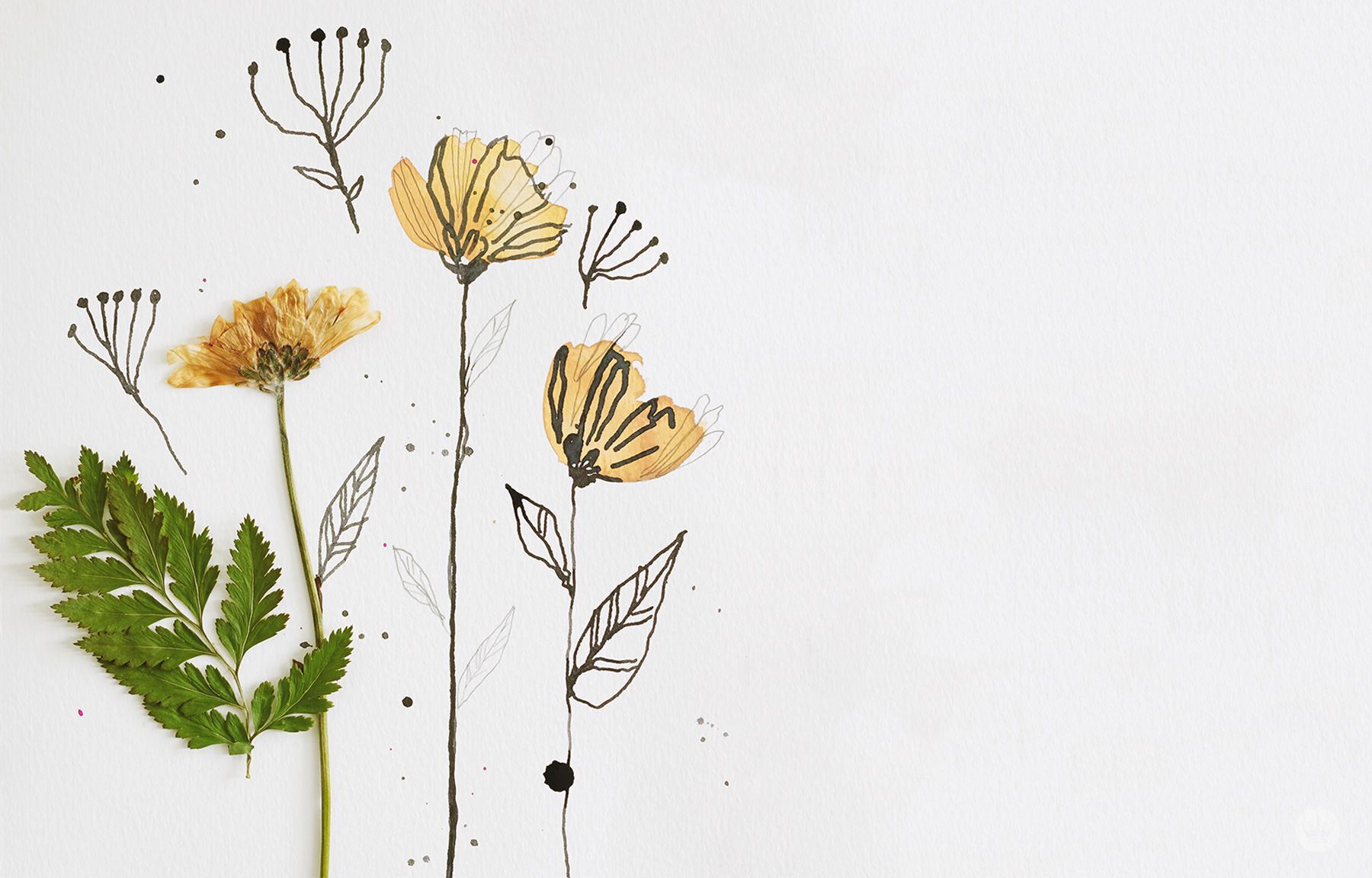 Flower Wallpaper Minimalist / Minimalist Flower Background Images Stock