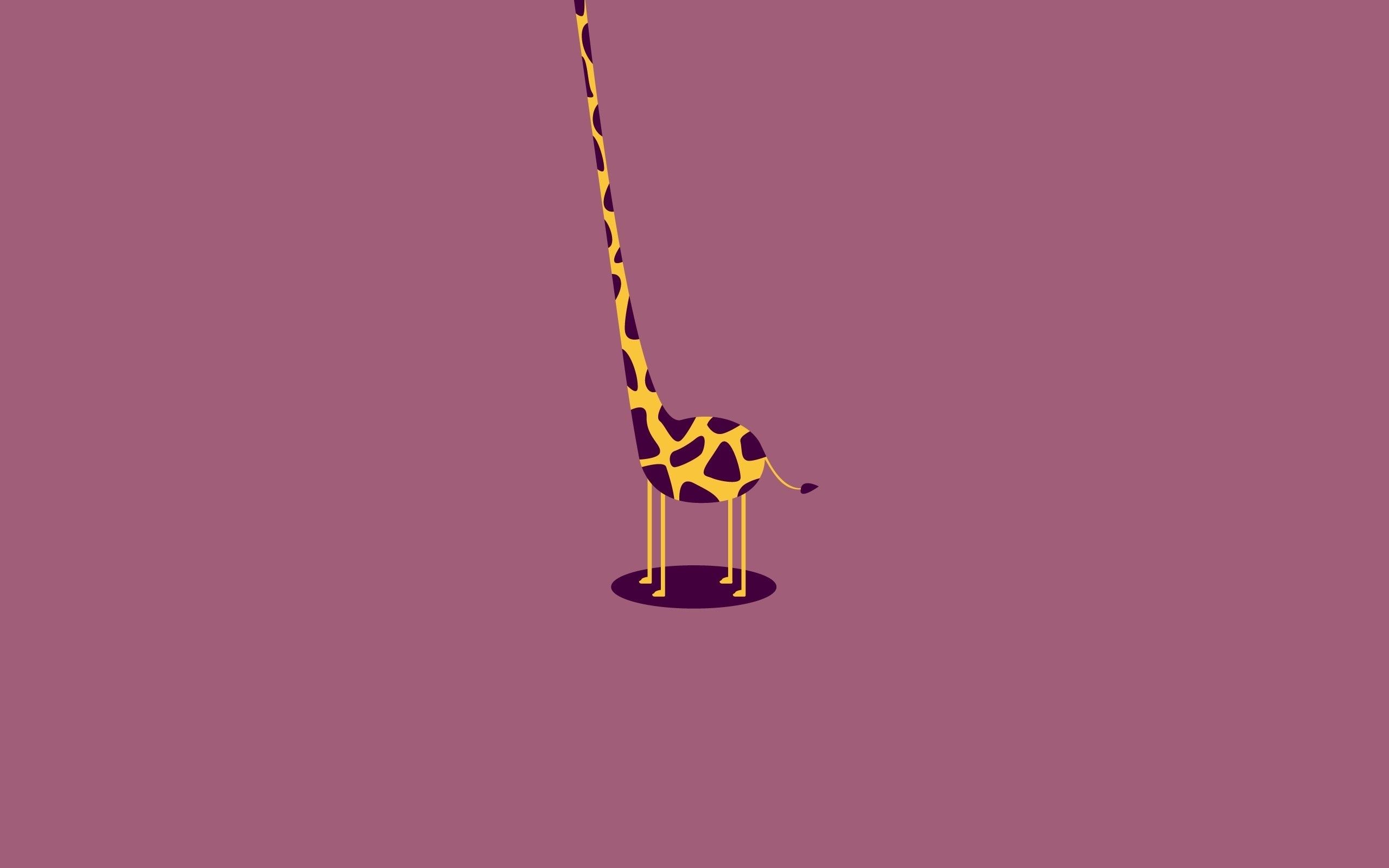 Cute Giraffe Desktop Wallpapers Wallpaper Cave