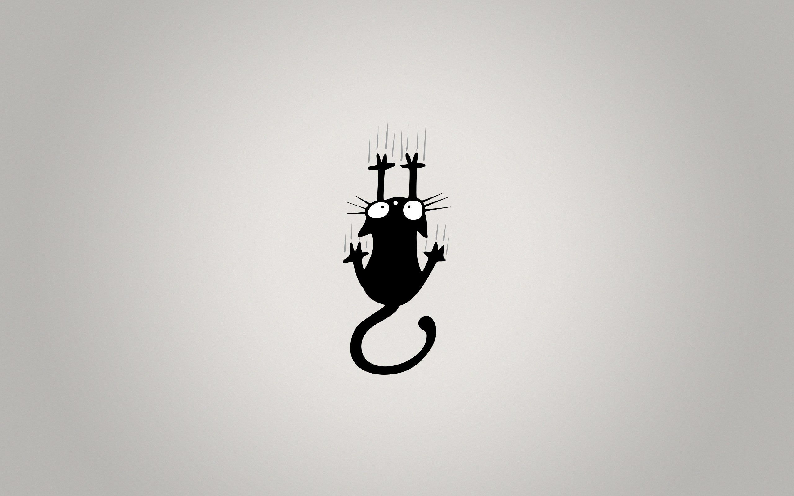 Cute Minimalist Cat PC Wallpapers Wallpaper Cave