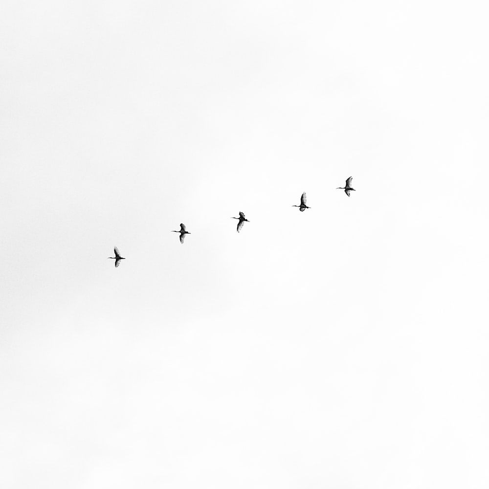 White Lockscreen Minimalist Wallpapers Wallpaper Cave