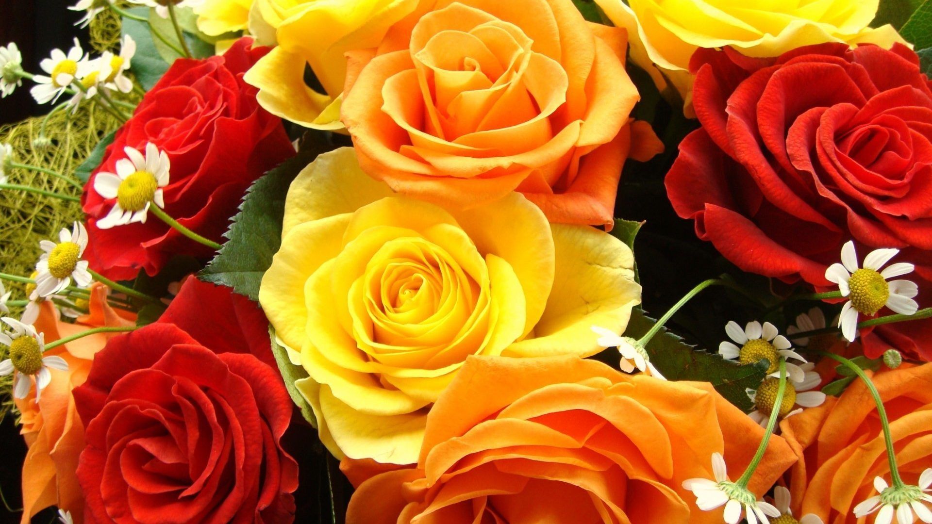 Red And Yellow Roses Flowers HD Wallpapers Wallpaper Cave