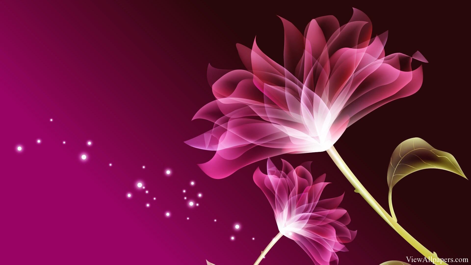 Pink Beauty Wallpapers Wallpaper Cave