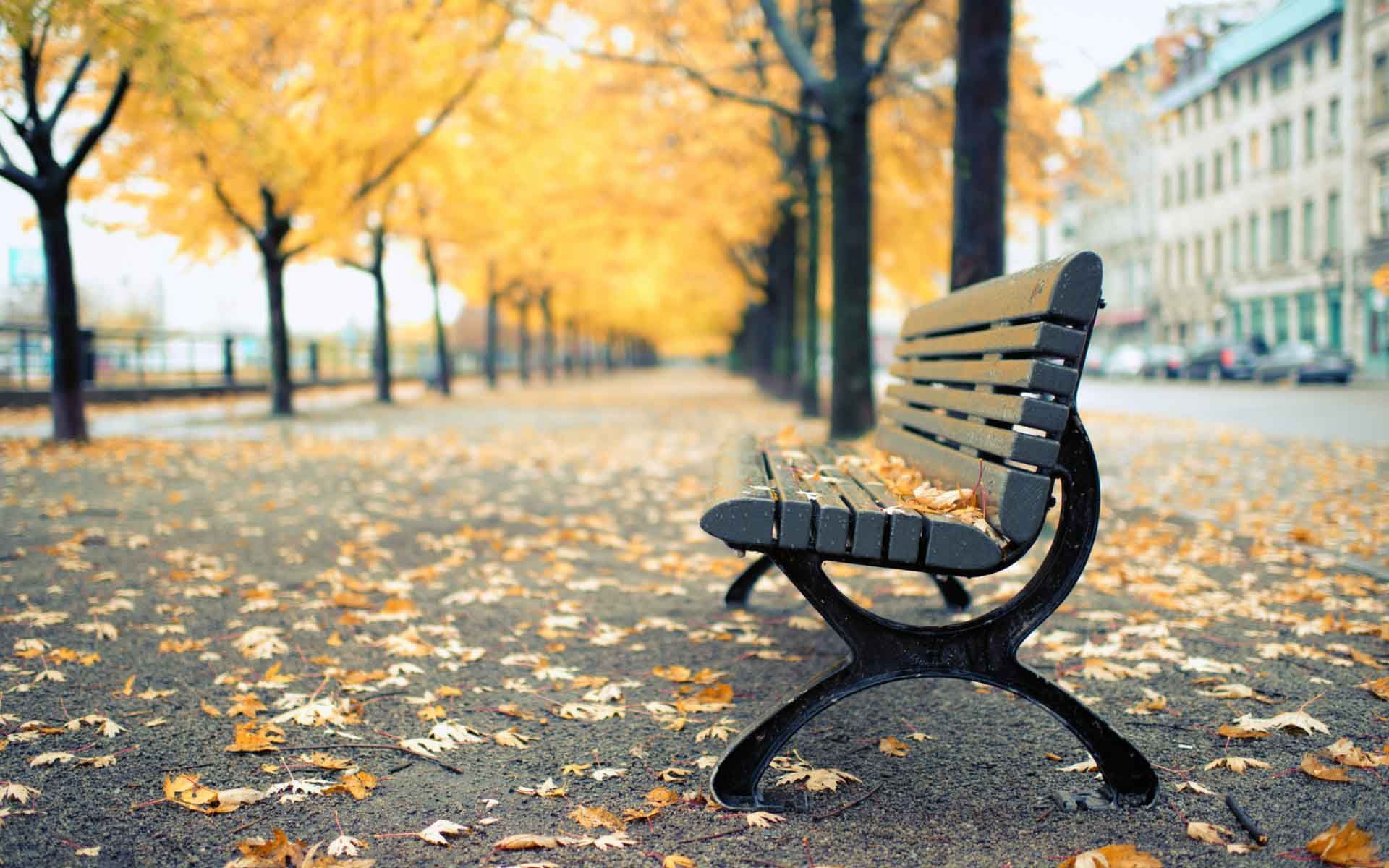 Park Bench Wallpapers Wallpaper Cave