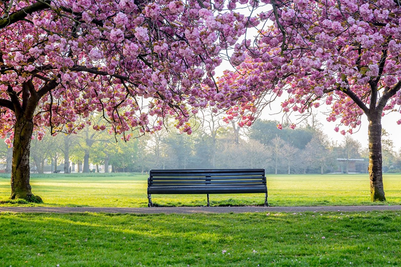 Park Bench Wallpapers Wallpaper Cave
