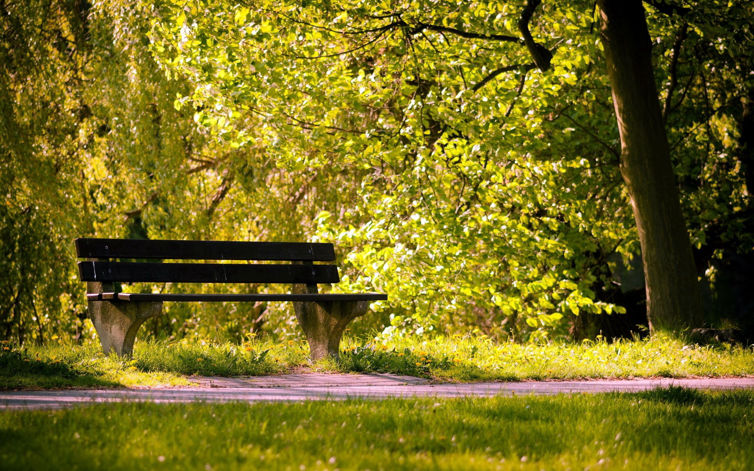 Park Bench Wallpapers Wallpaper Cave