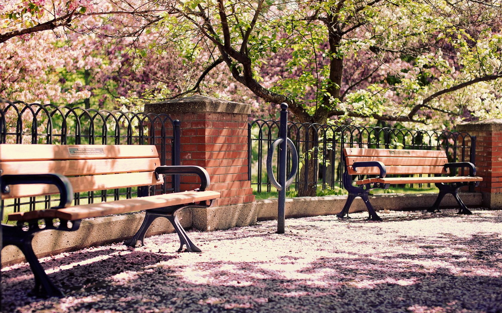 Park Bench Wallpapers Wallpaper Cave