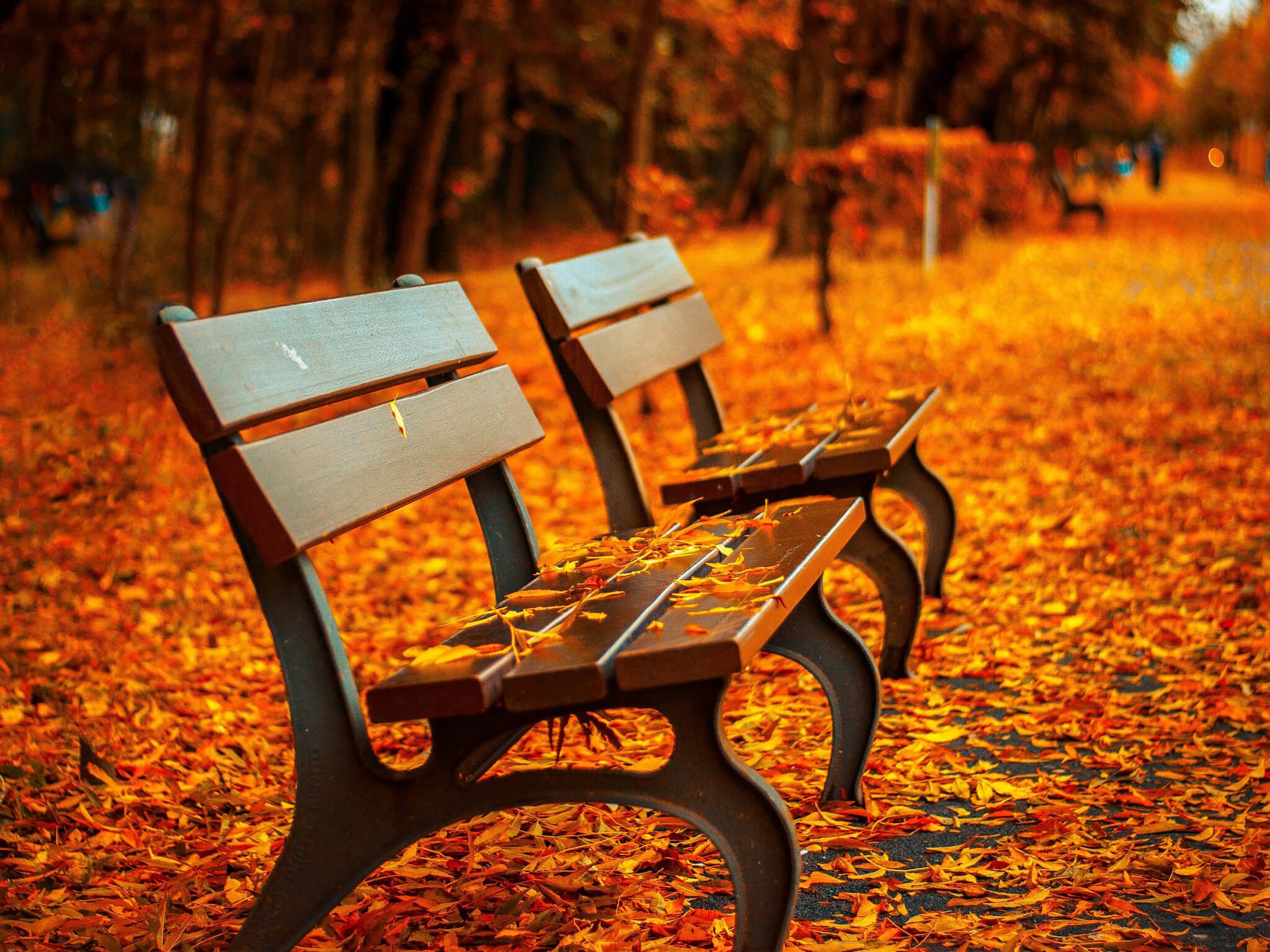 Park Bench Wallpapers Wallpaper Cave