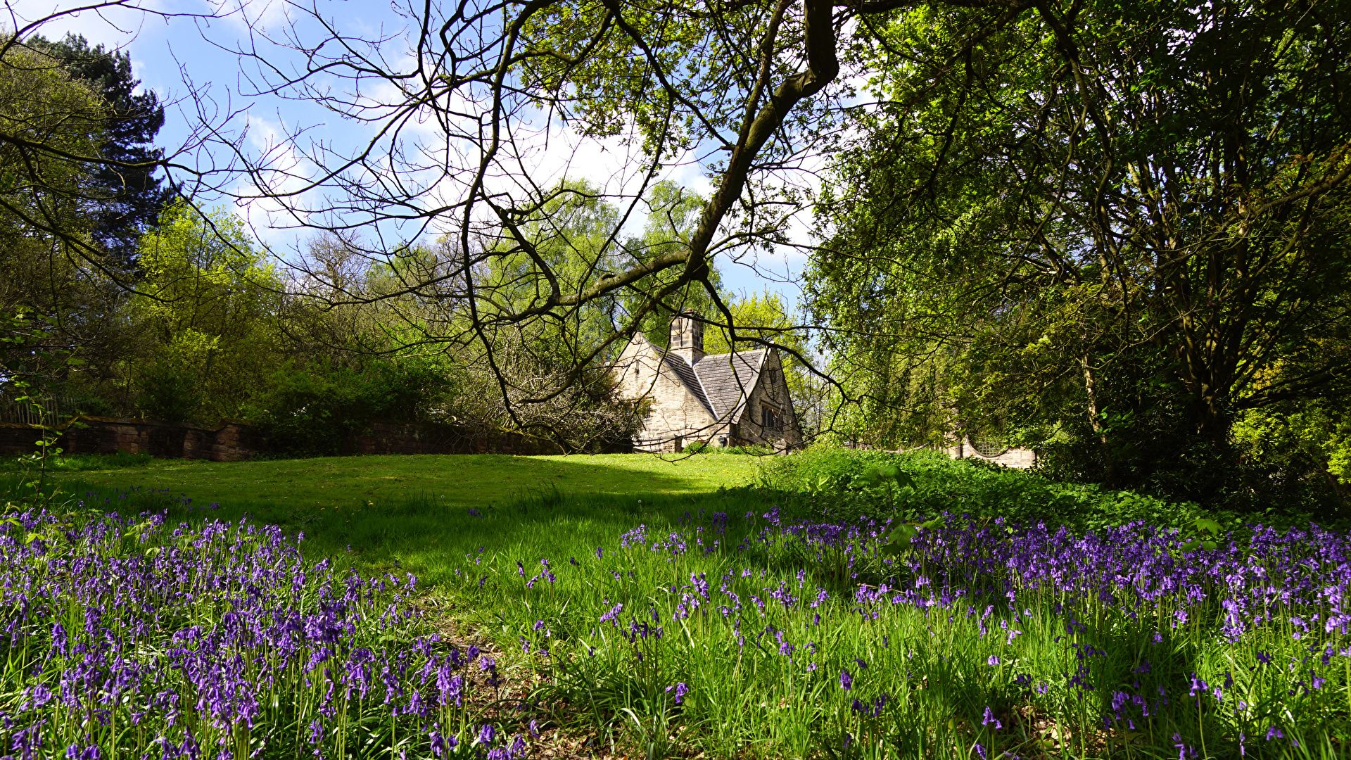 Country Meadow Wallpapers Wallpaper Cave