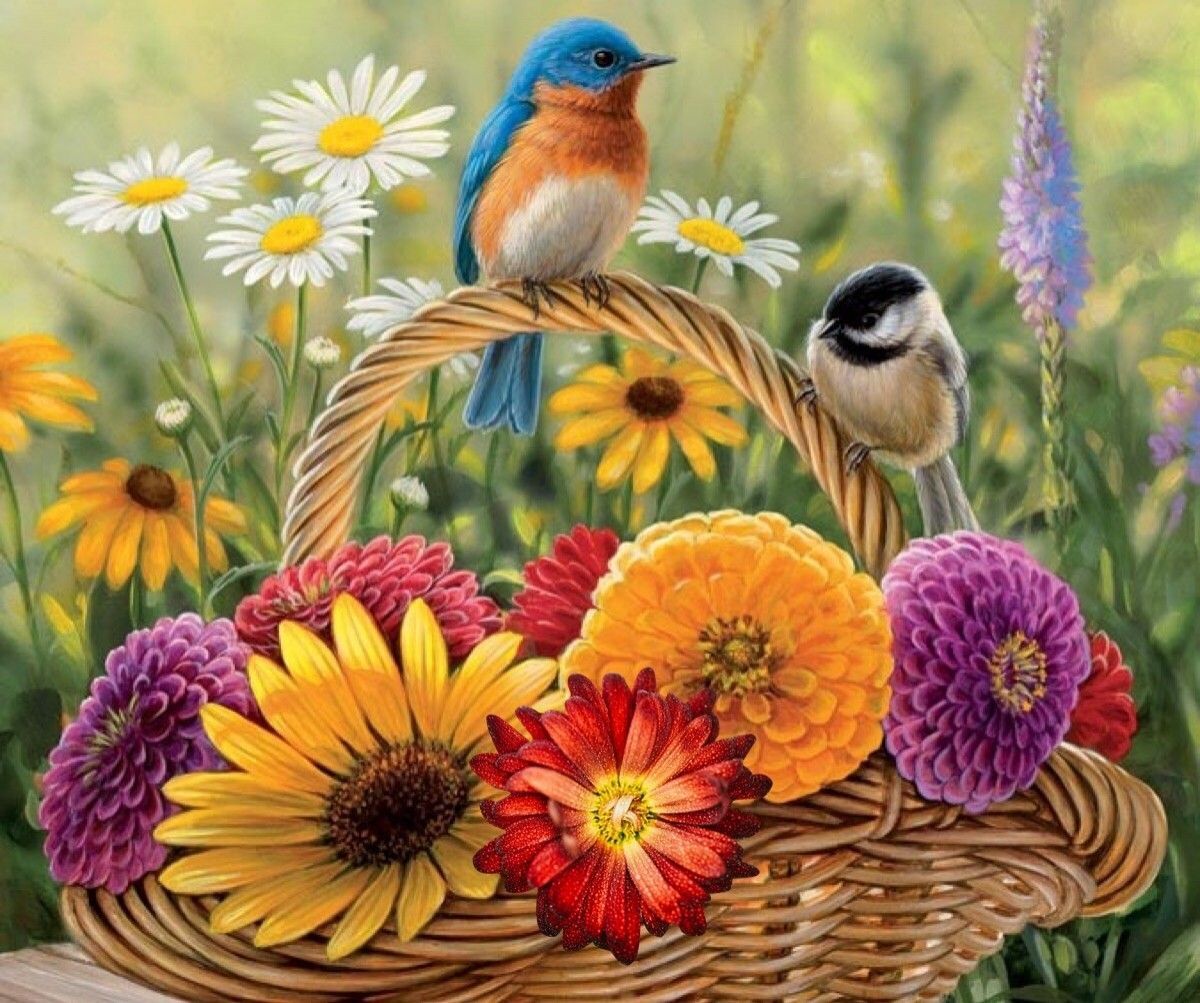 Flowers And Bird Wallpapers Wallpaper Cave