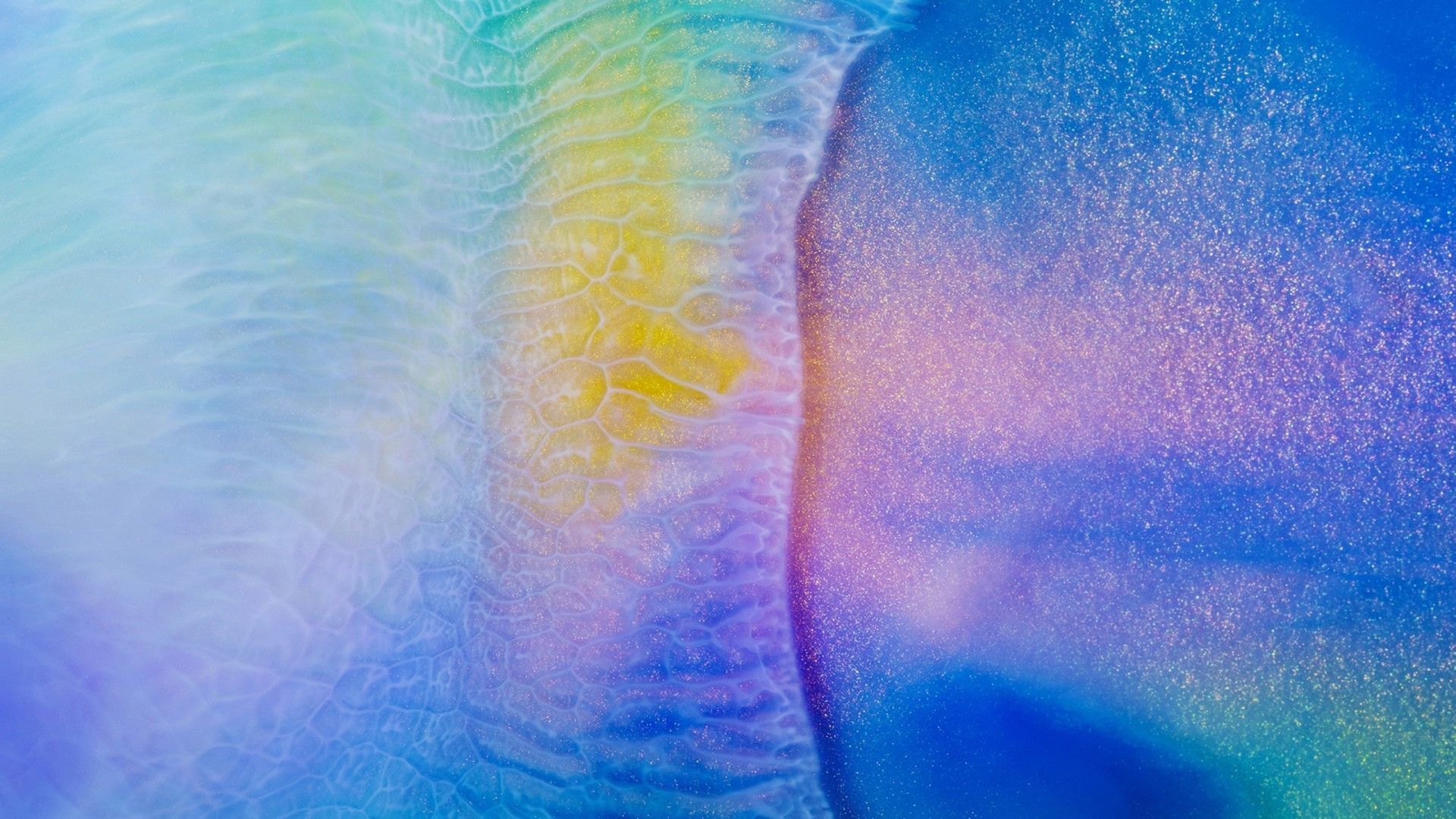 Vivid Colors Wallpapers Wallpaper Cave