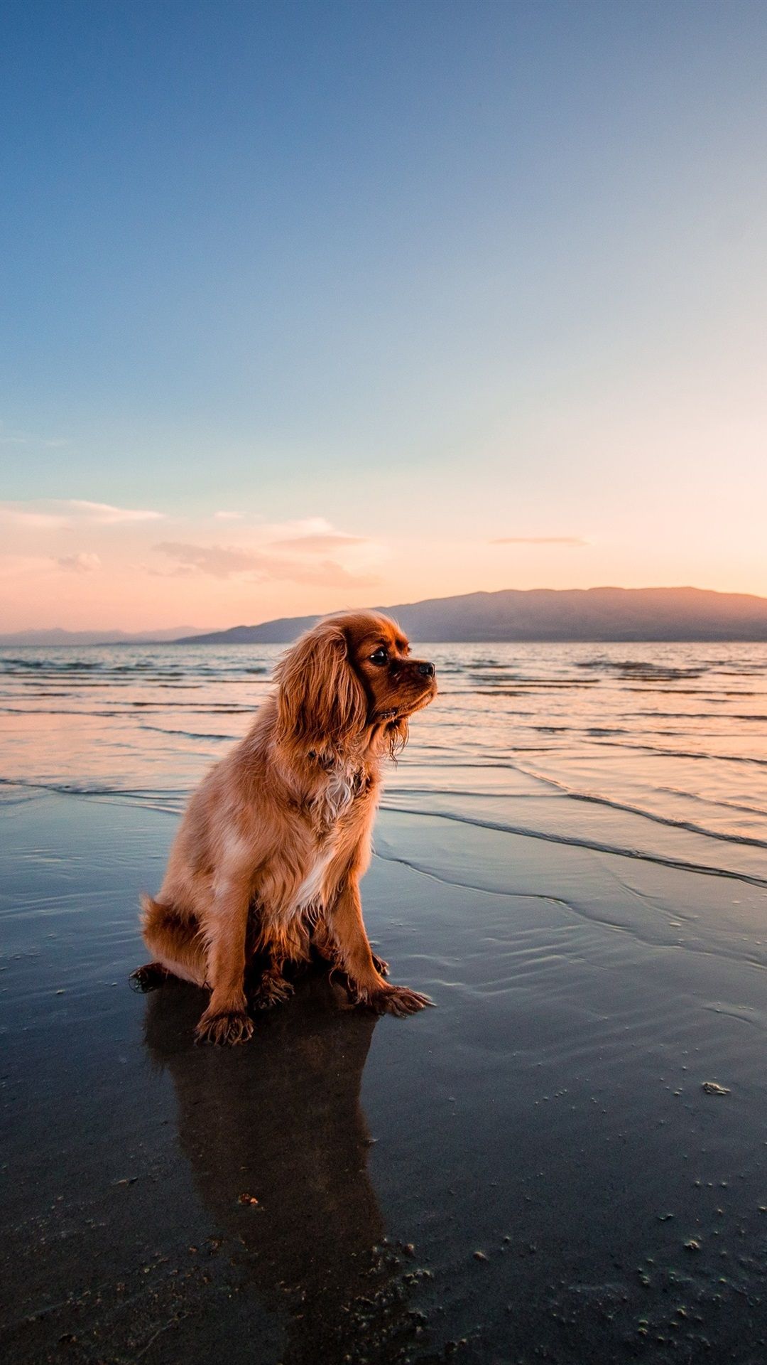 Seashore Sunset Wallpapers Wallpaper Cave