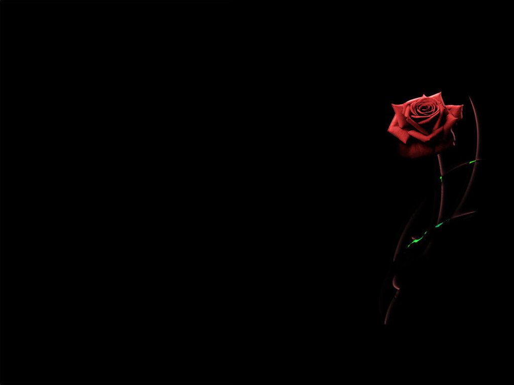 Black Rose Tumblr Wallpapers Wallpaper Cave