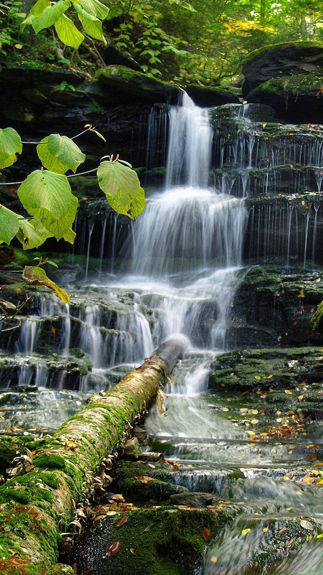 Nature 2021 Wallpapers Wallpaper Cave