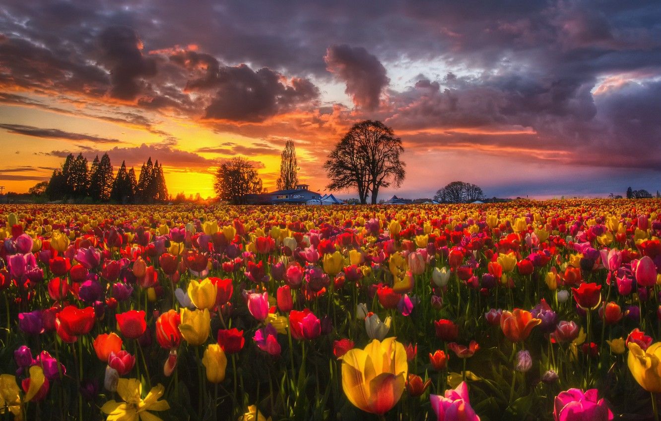 Spring Evening Wallpapers Wallpaper Cave