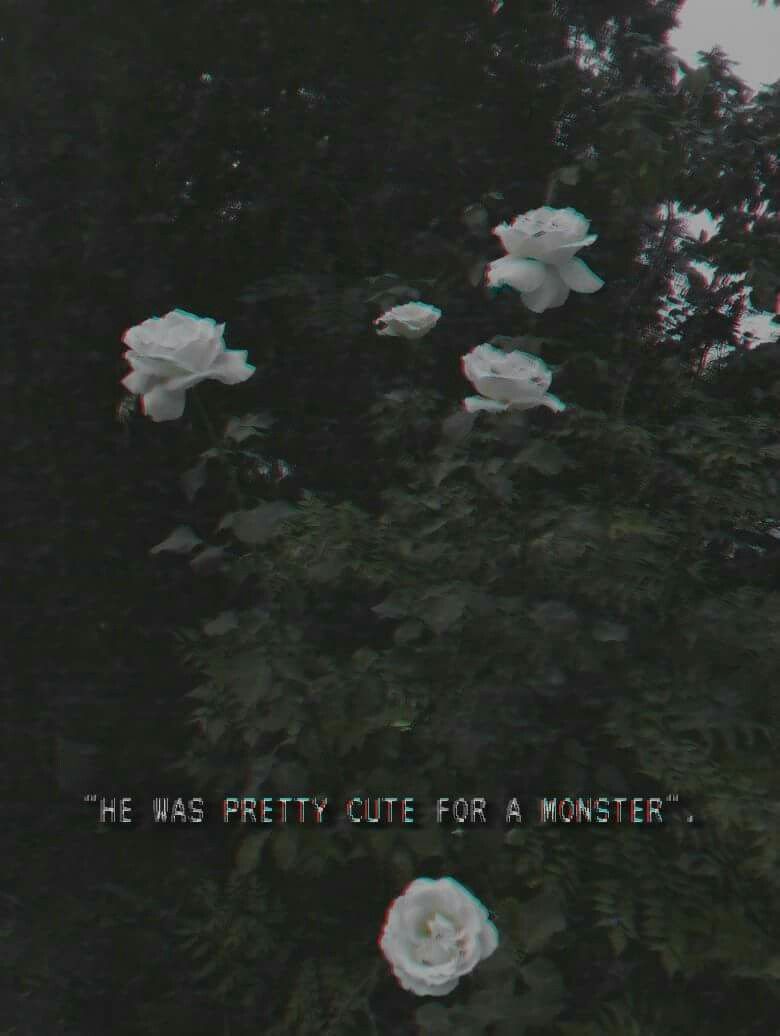 Aesthetics Flower Grunge Wallpapers Wallpaper Cave