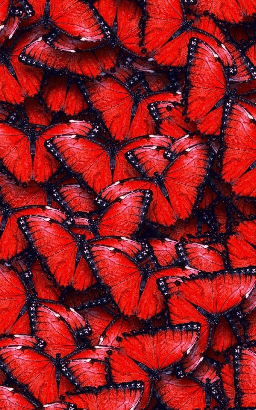 Red Butterfly Tumblr Wallpapers Wallpaper Cave
