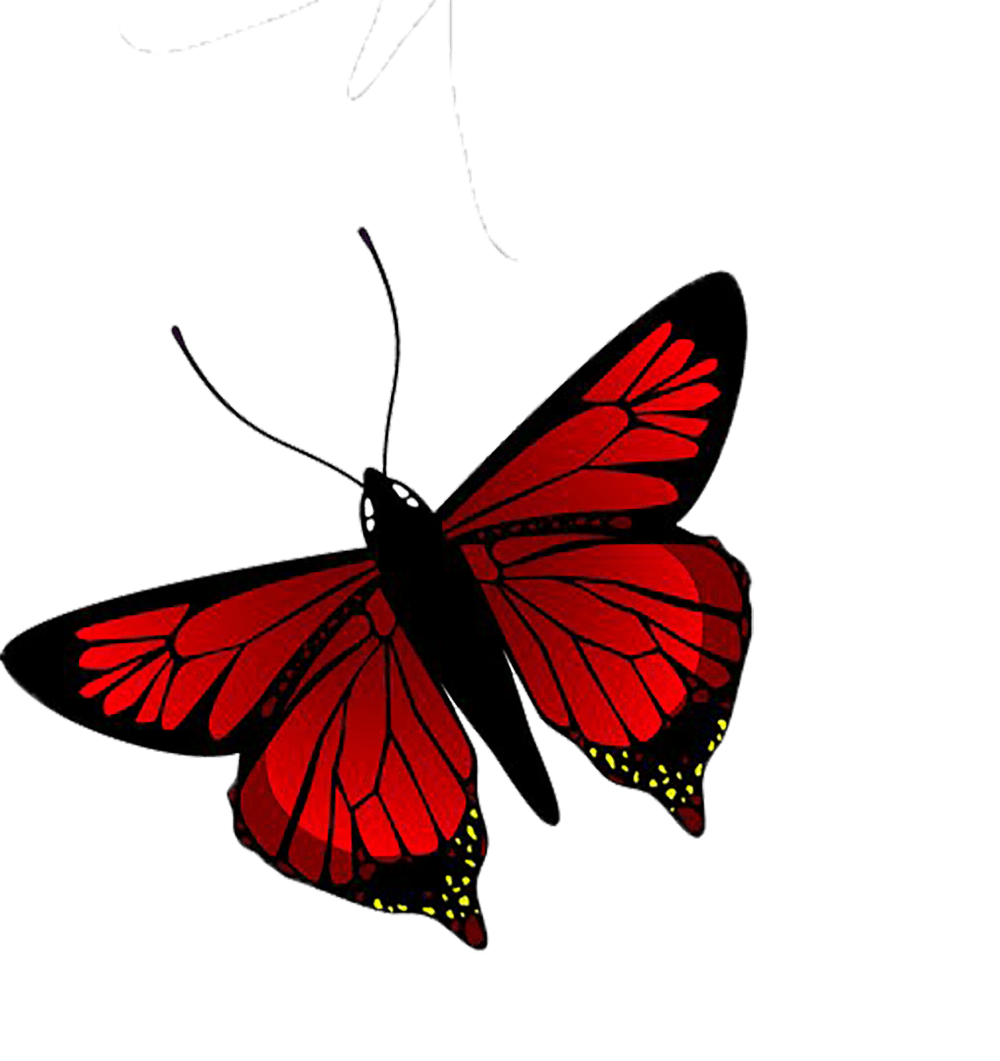 Red Butterfly Tumblr Wallpapers Wallpaper Cave