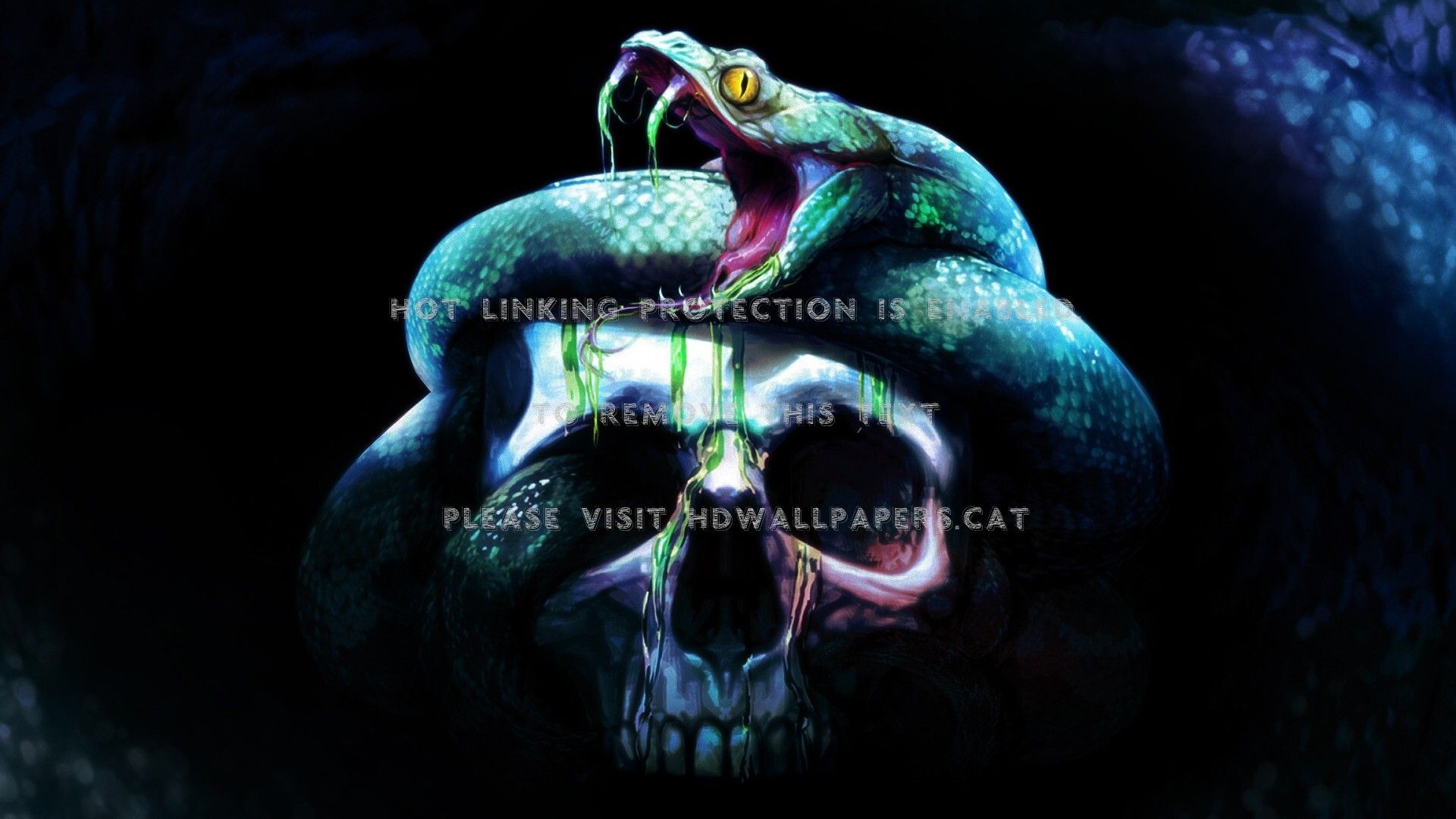 Scary Snake Wallpapers Wallpaper Cave