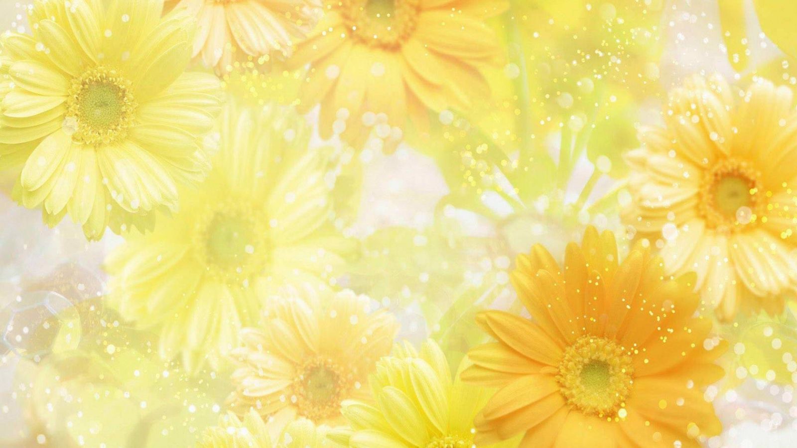 Yellow Spring Wallpapers Wallpaper Cave