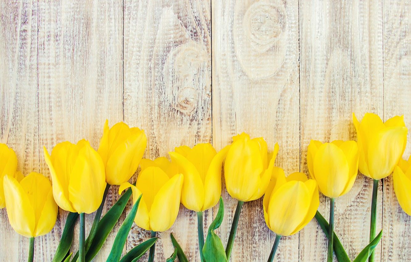 Yellow Spring Wallpapers Wallpaper Cave