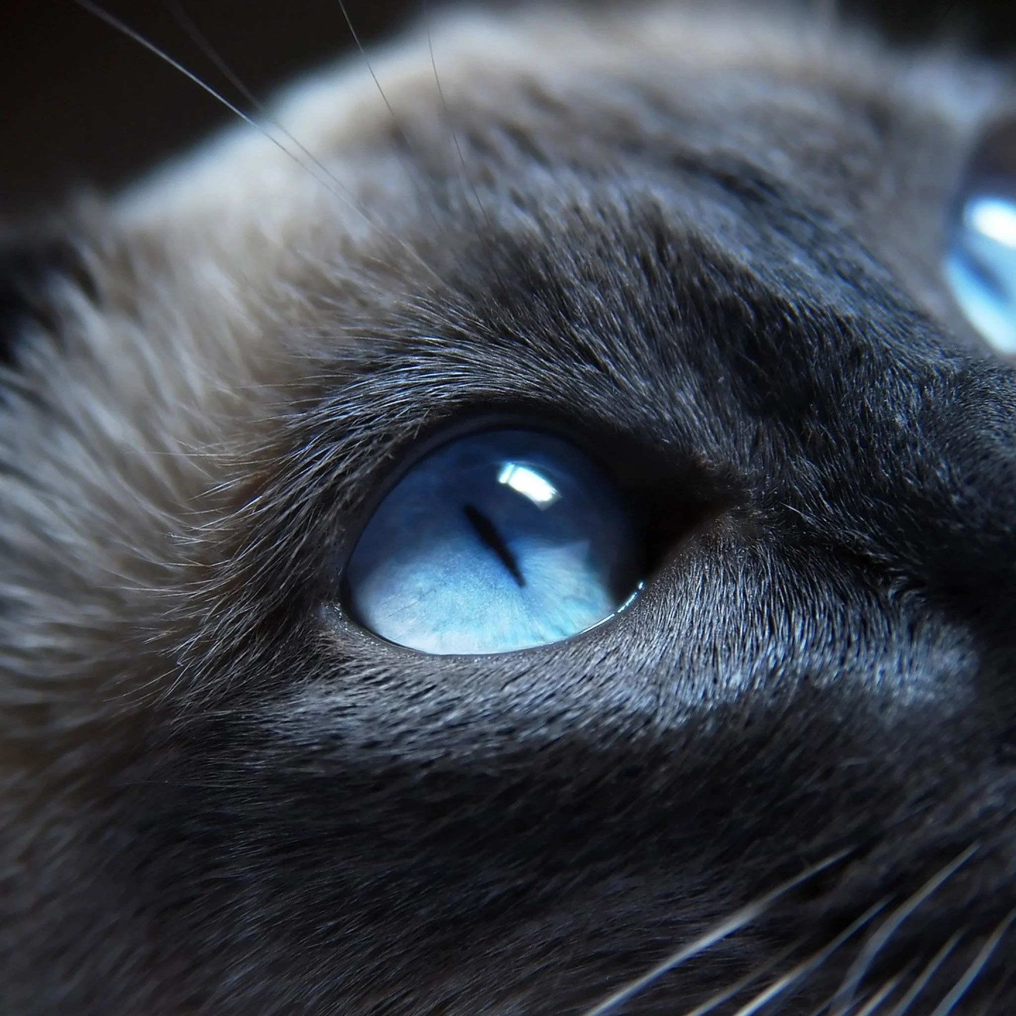 4k iPad Wallpapers Wallpaper Cave