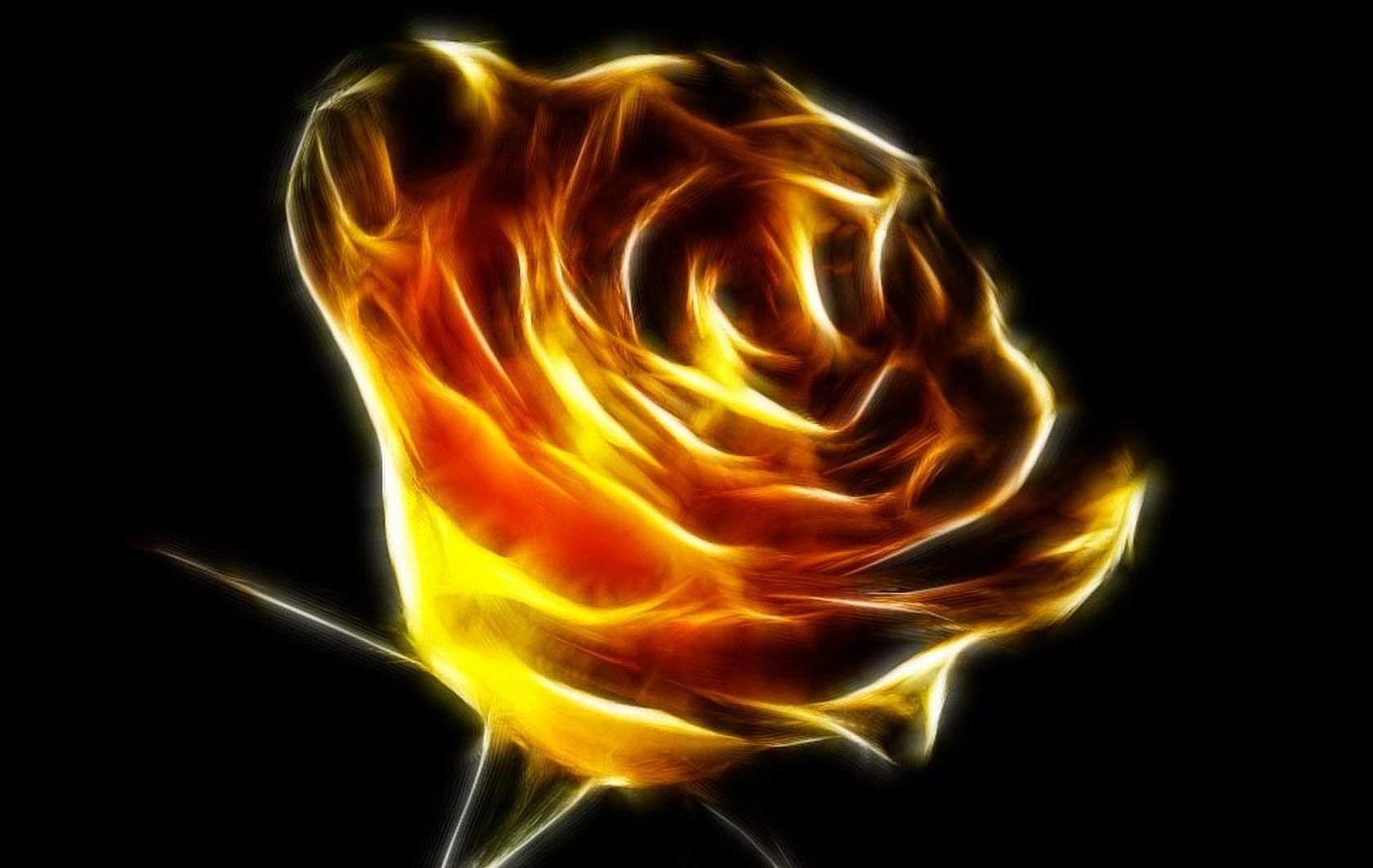 Fire Rose Wallpapers Wallpaper Cave