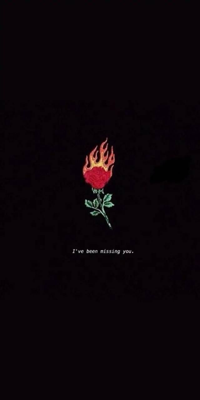 Sad Rose Wallpapers Wallpaper Cave