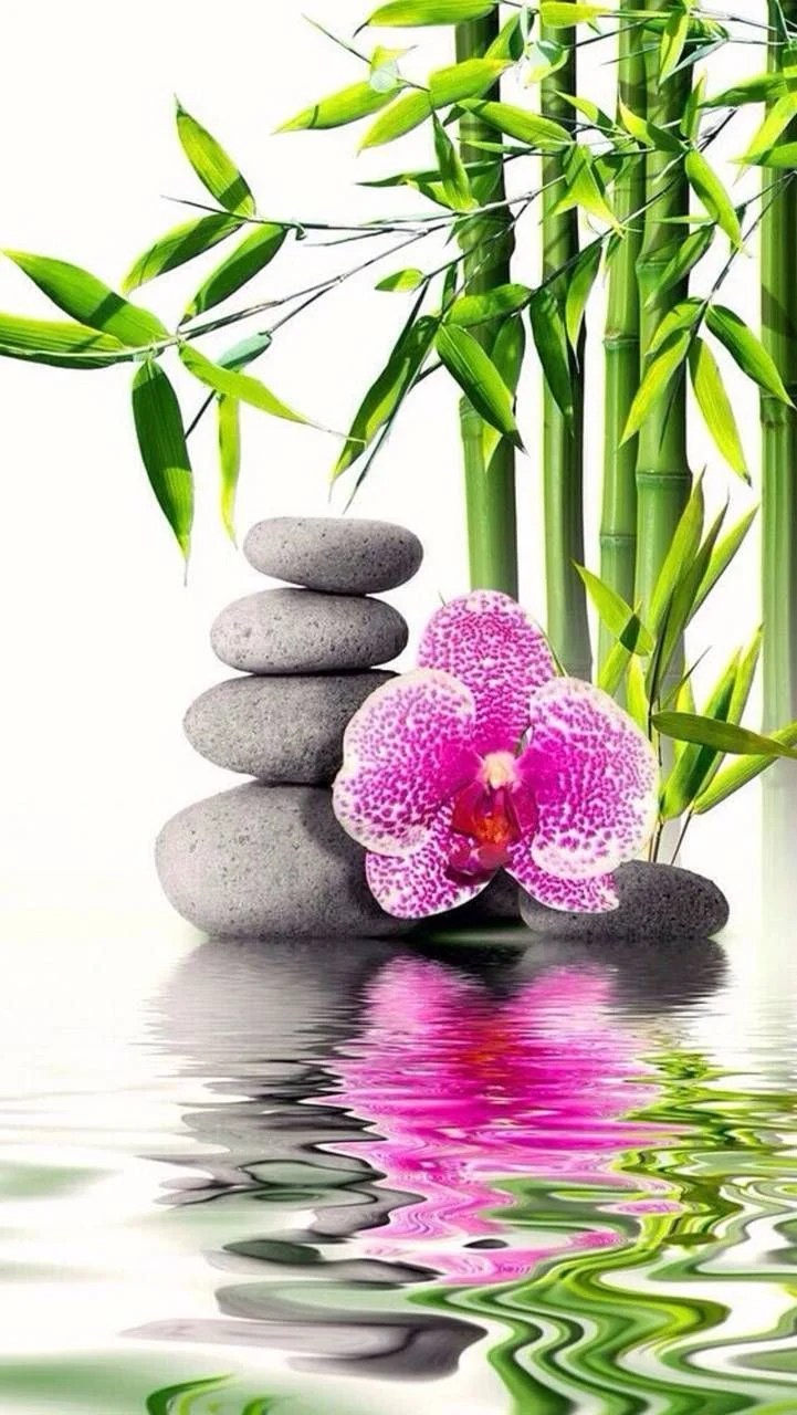 Feng Shui Wallpapers Wallpaper Cave