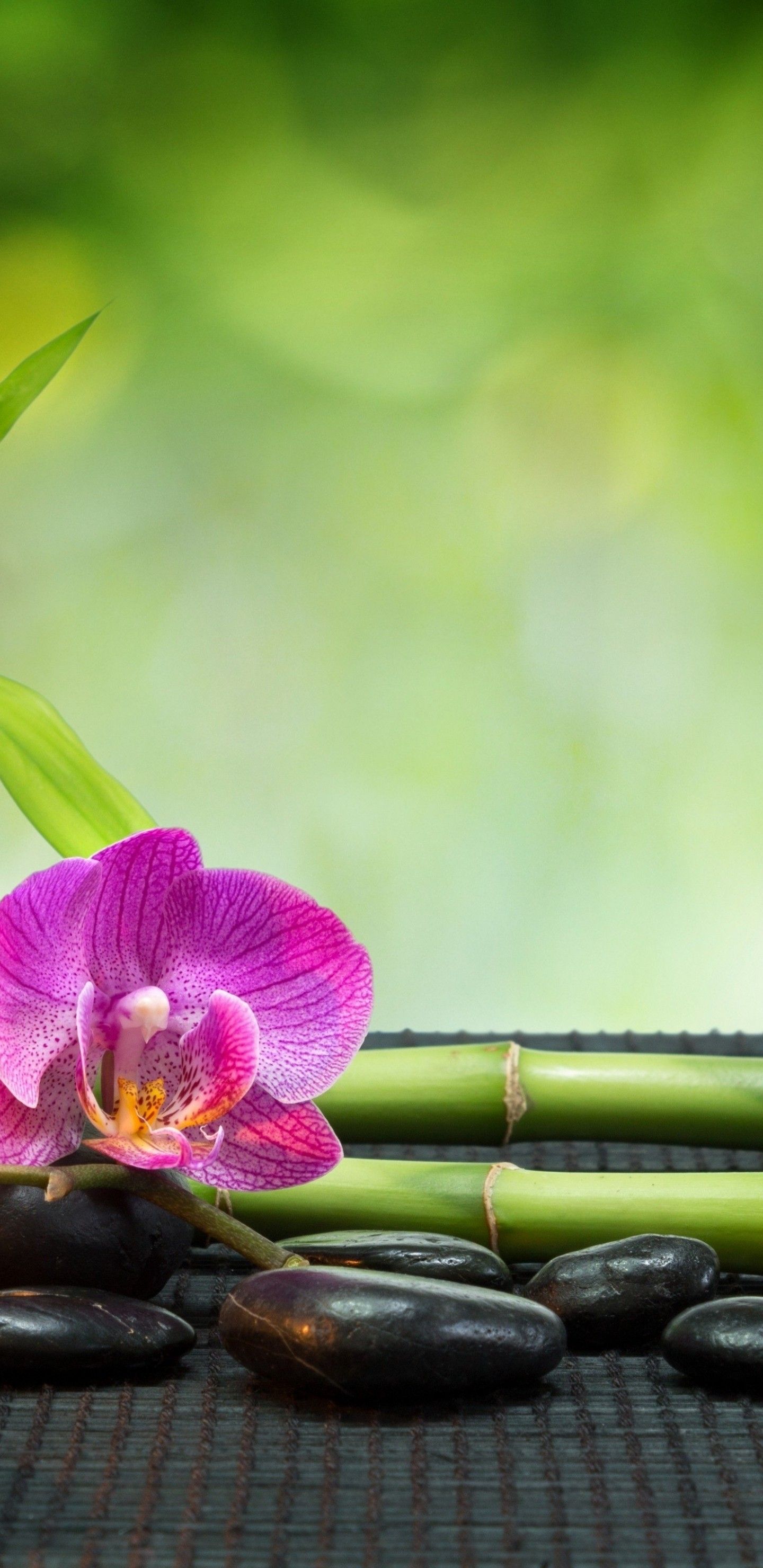 Feng Shui Wallpapers Wallpaper Cave