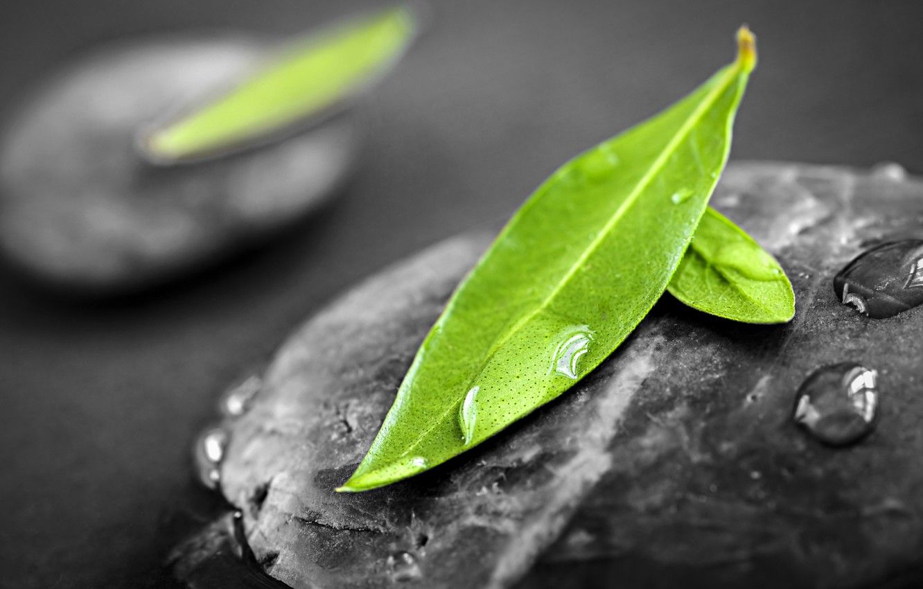 Feng Shui Wallpapers Wallpaper Cave