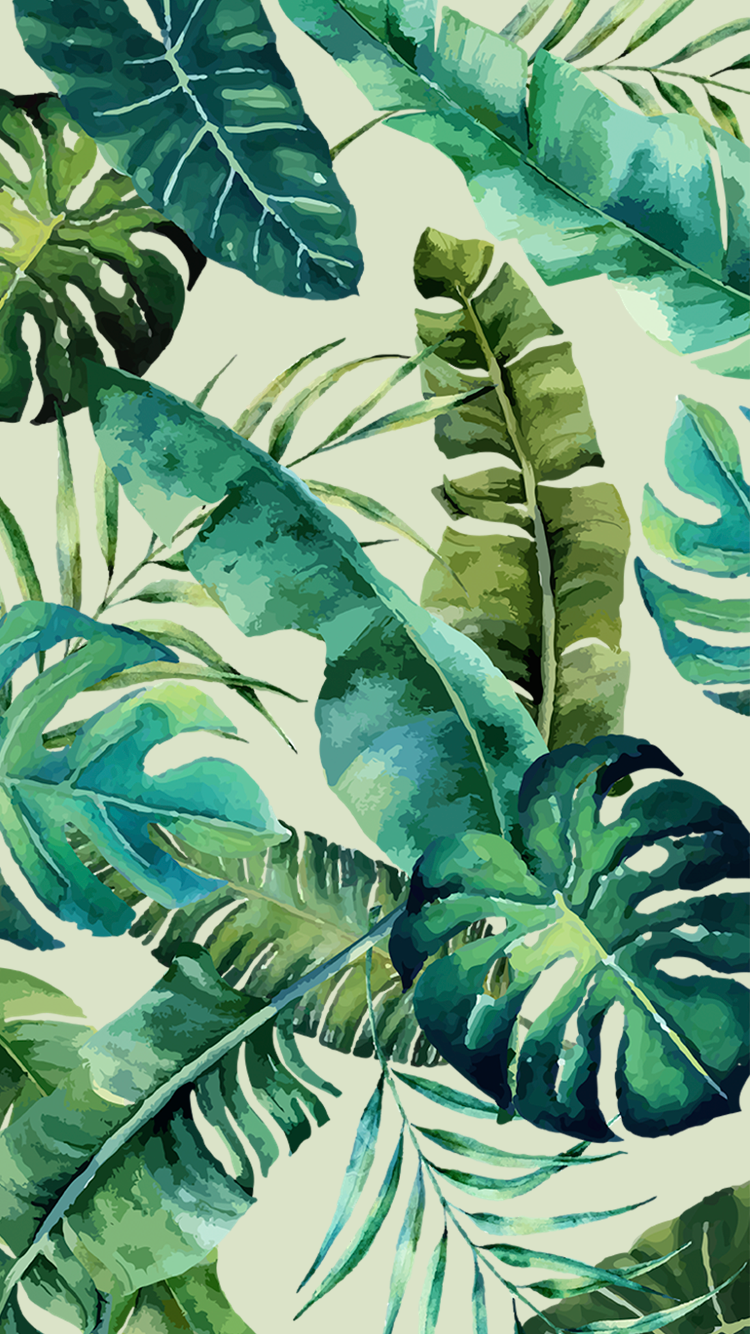 Monstera Deliciosa Wallpapers Wallpaper Cave