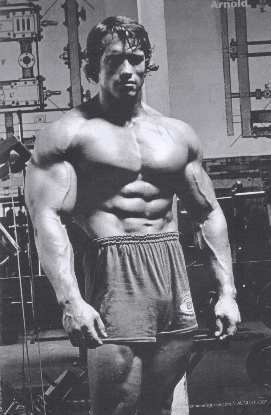 Arnold Bodybuilder Mobile Android Wallpapers Wallpaper Cave