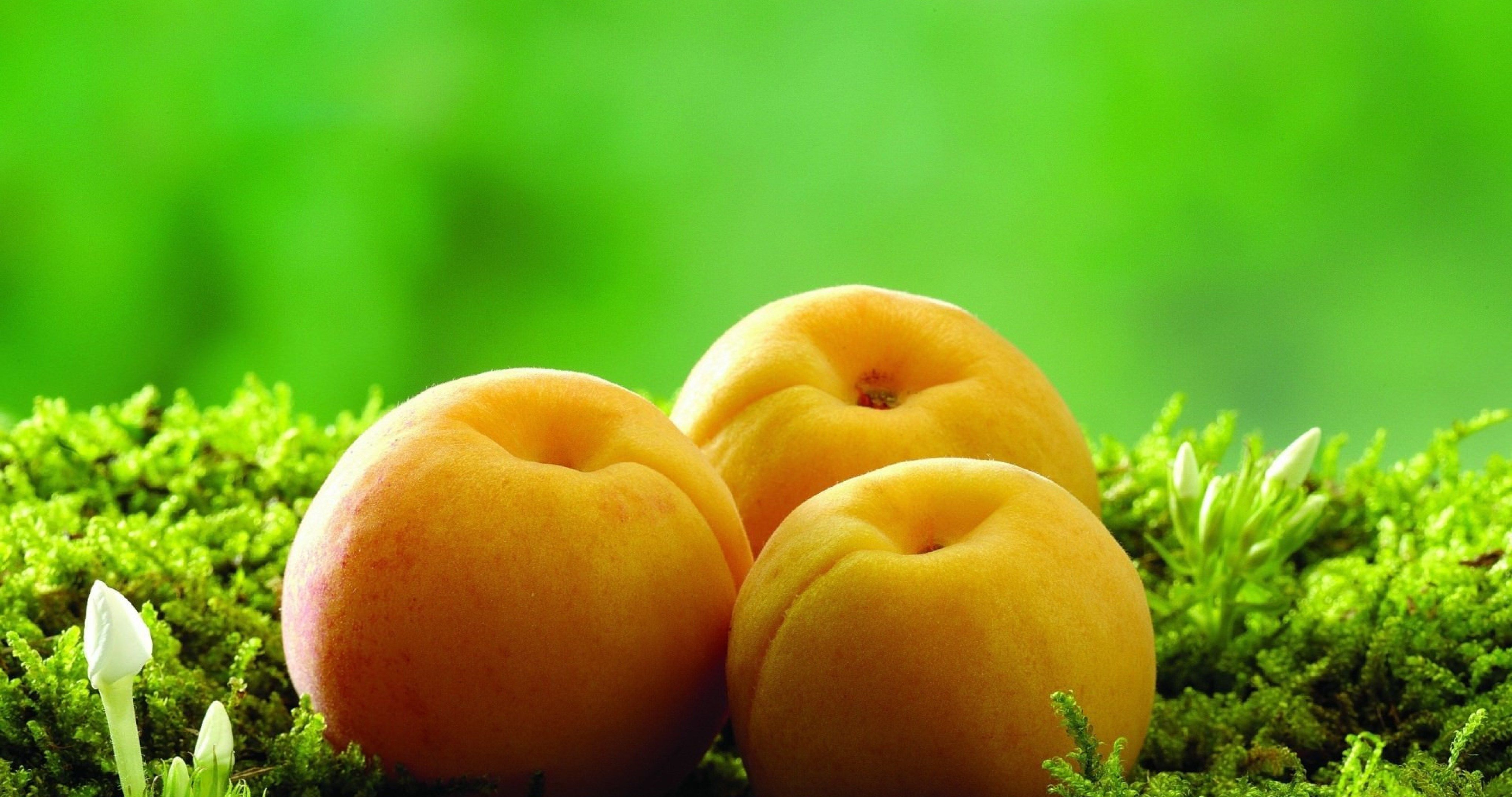 Fruits 4k HD Wallpapers Wallpaper Cave