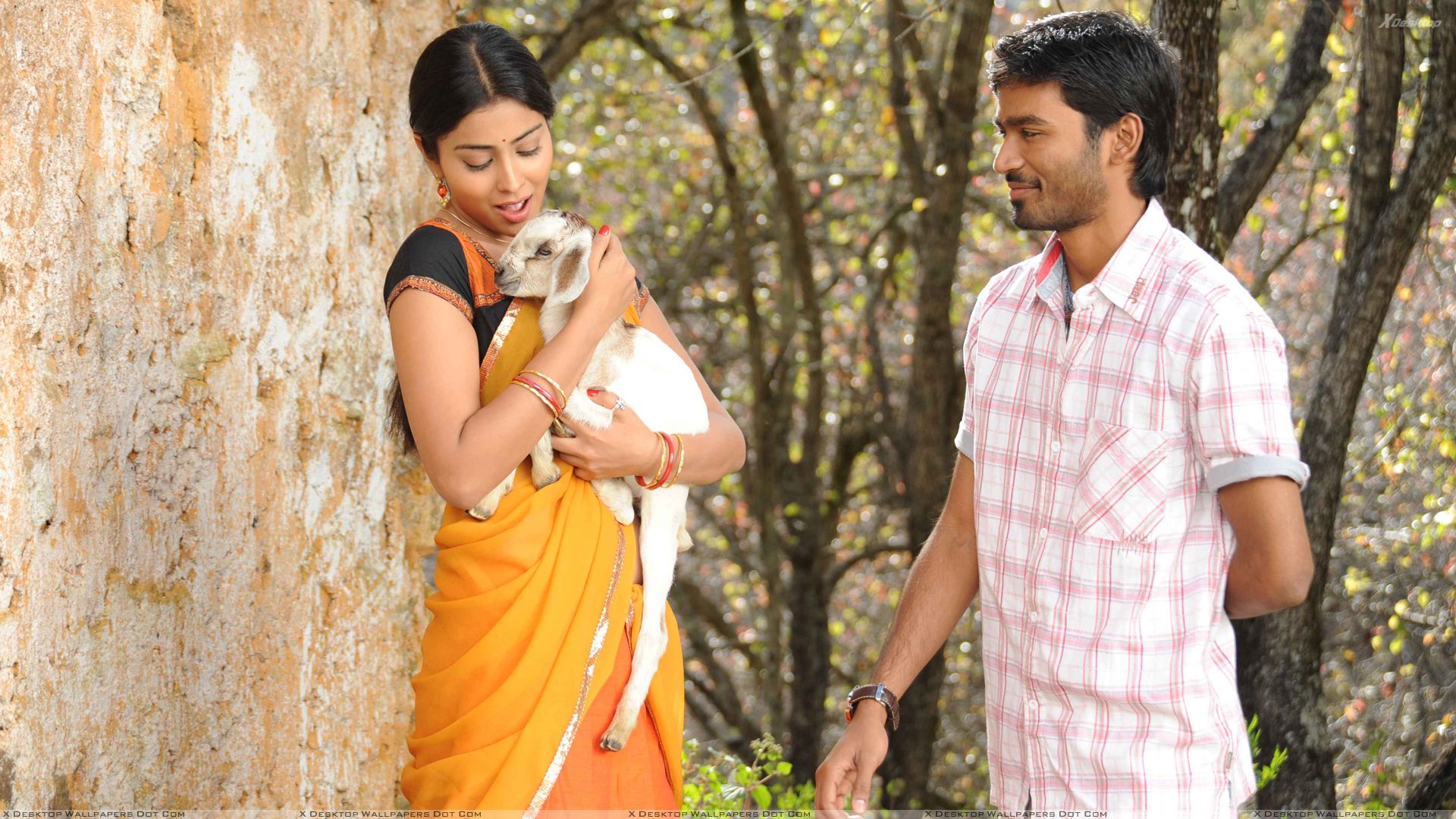 Kutty Wallpapers Wallpaper Cave