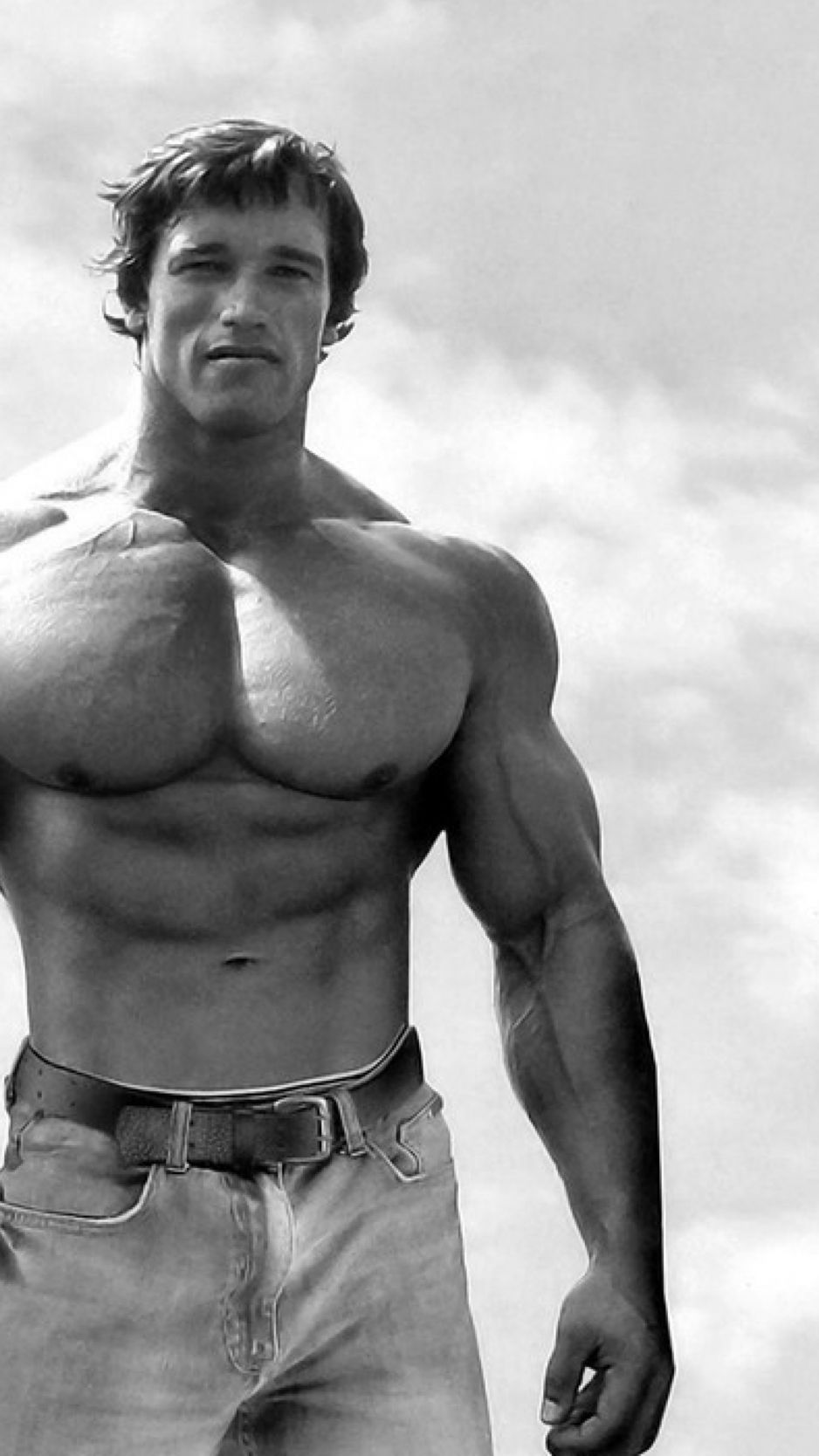 Ouille! 33+ Vérités sur Arnold Schwarzenegger Wallpaper