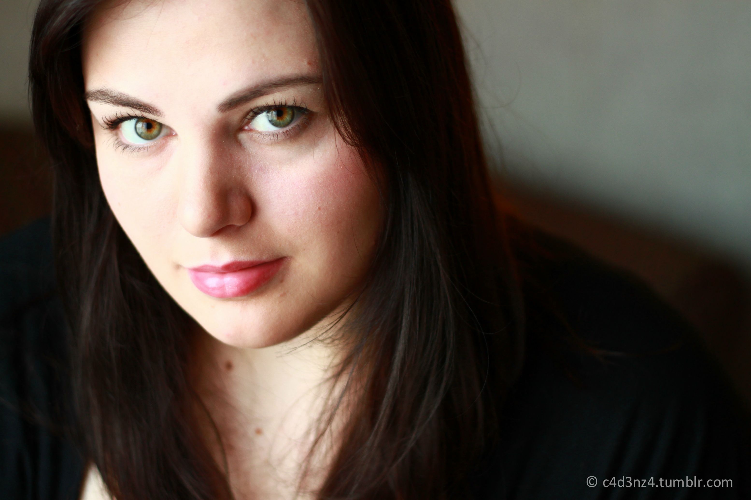 Chubby Wallpapers Wallpaper Cave