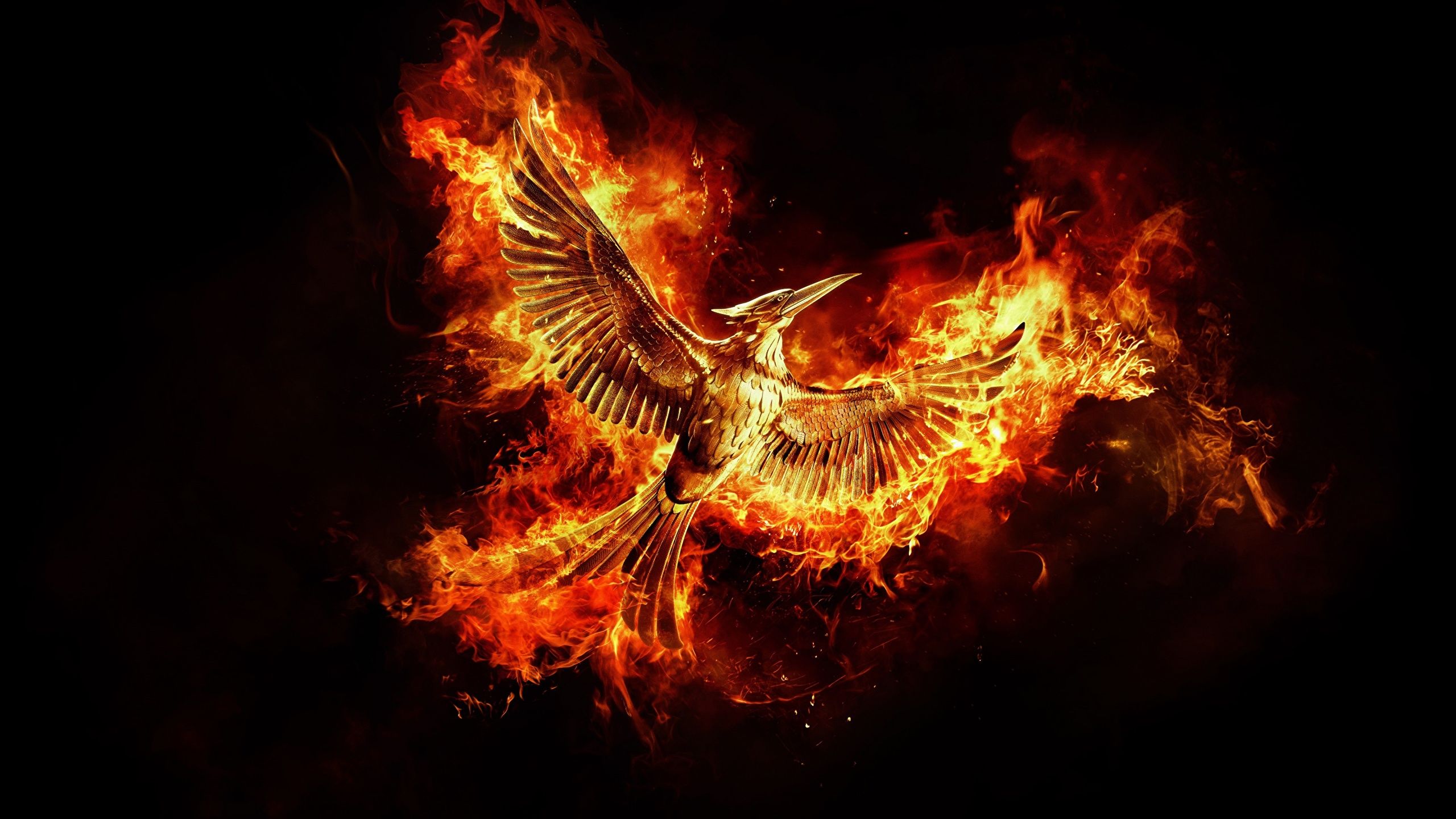 Black Phoenix Wallpapers Wallpaper Cave