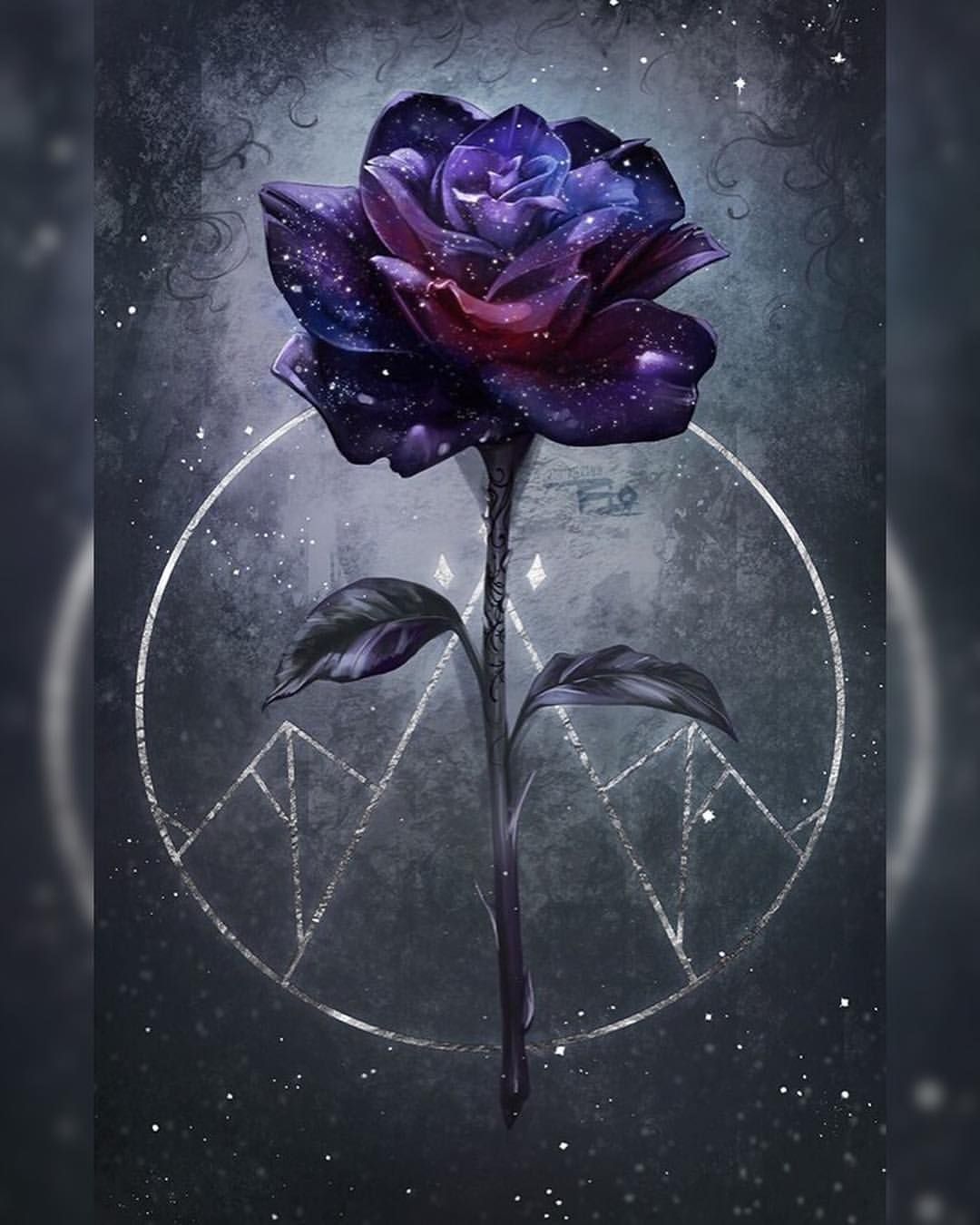 ACOTAR Wallpapers Wallpaper Cave