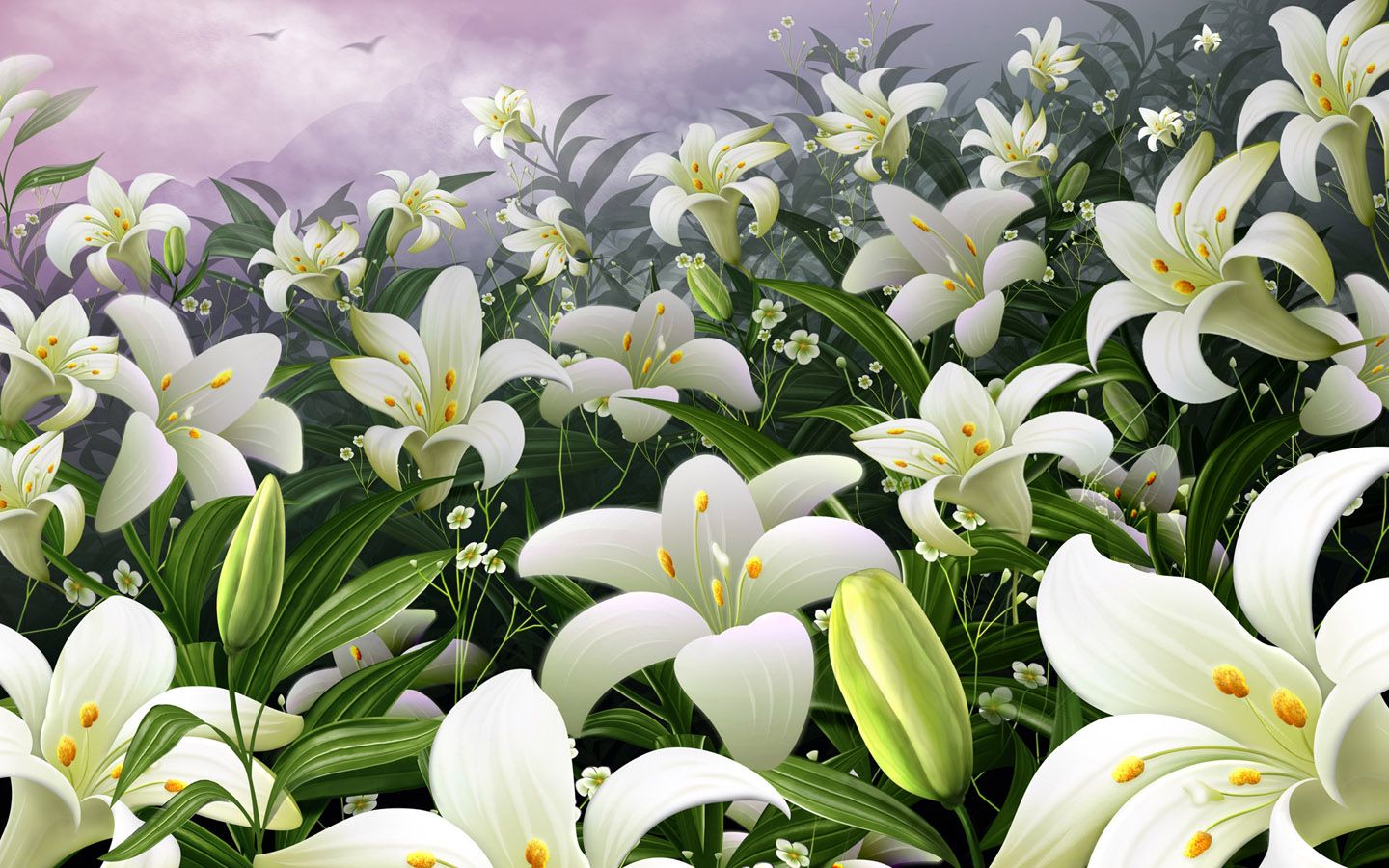 Lily Flowers Wallpapers Wallpaper Cave