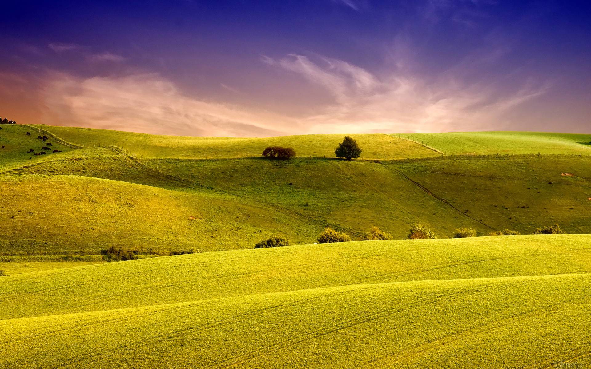 Amazing Field Sunset Wallpapers Wallpaper Cave