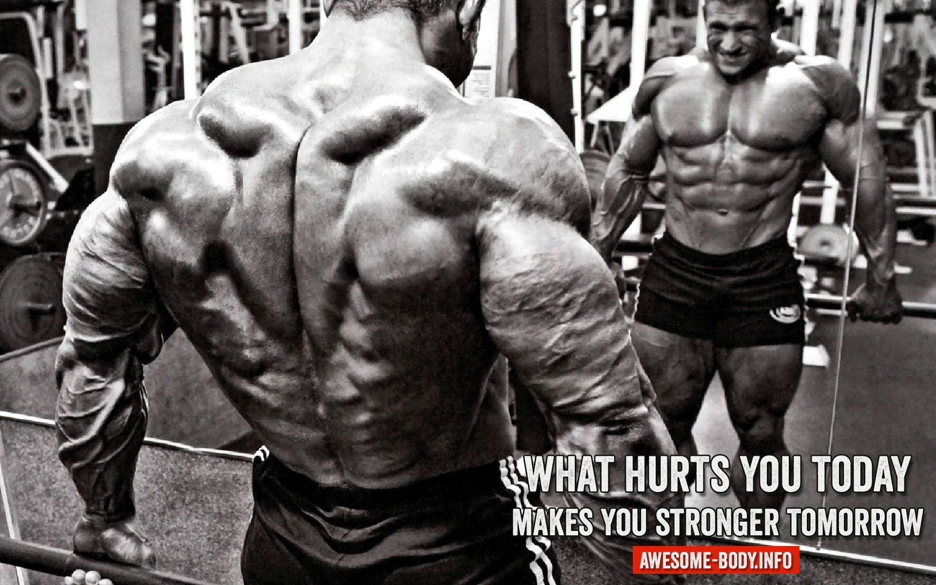 Bodybuilding Quotes Wallpapers Wallpaper Cave