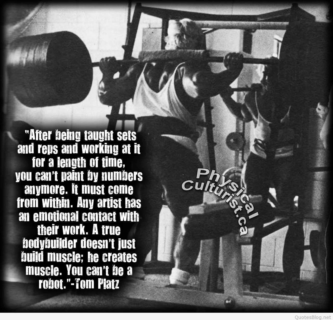 Bodybuilding Quotes Wallpapers Wallpaper Cave