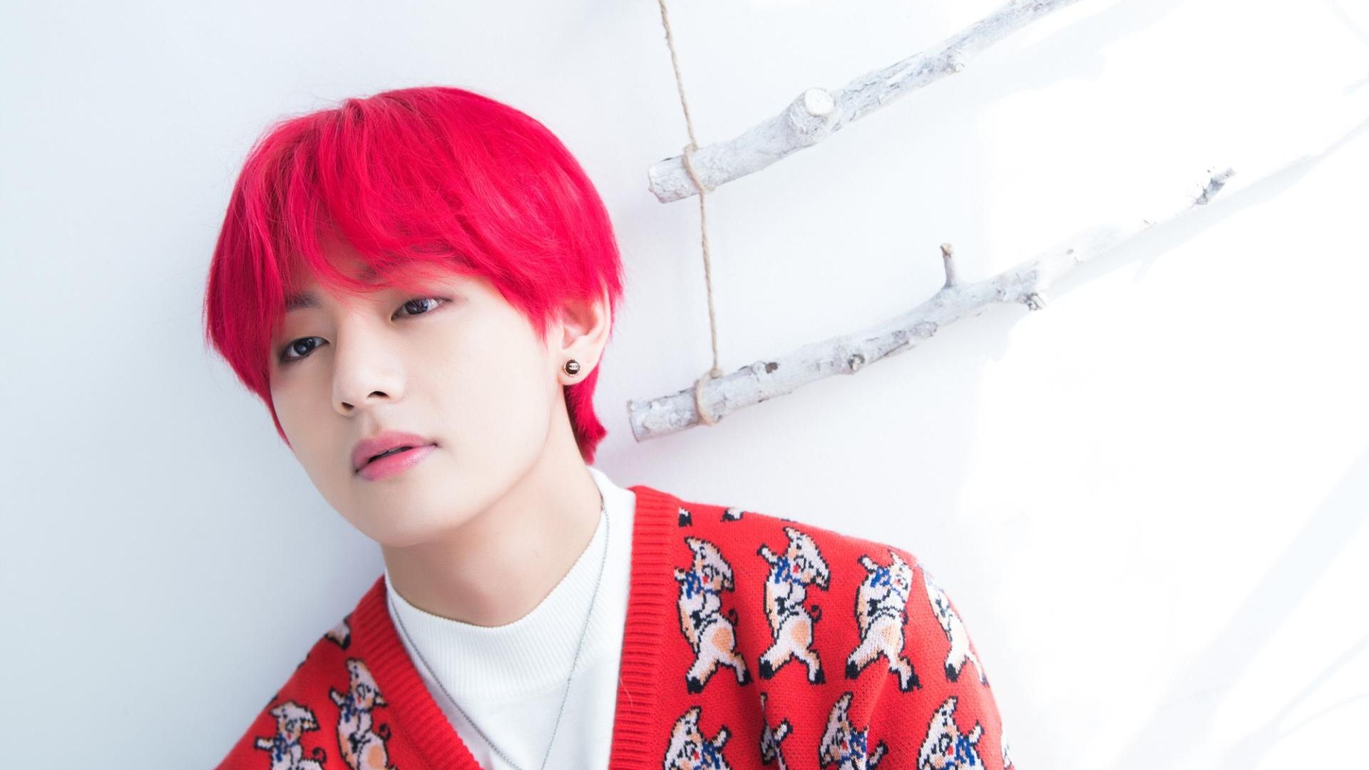 BTS V Computer Wallpapers Wallpaper Cave