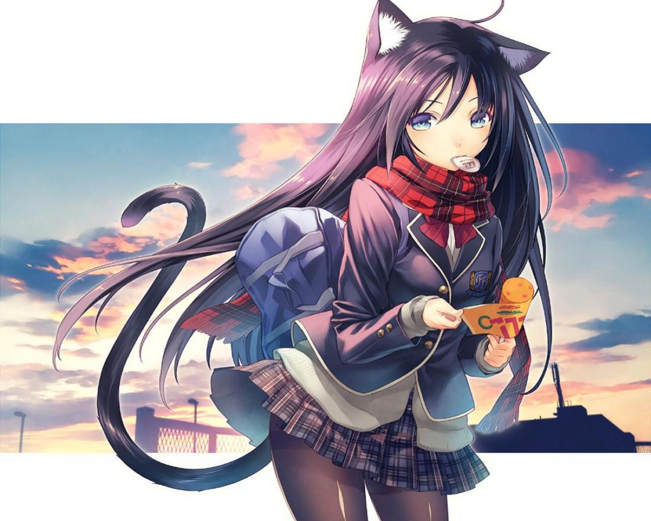 Neko Girl Wallpapers Wallpaper Cave