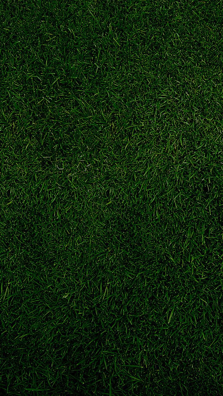 Green iPhone 4k Wallpapers Wallpaper Cave