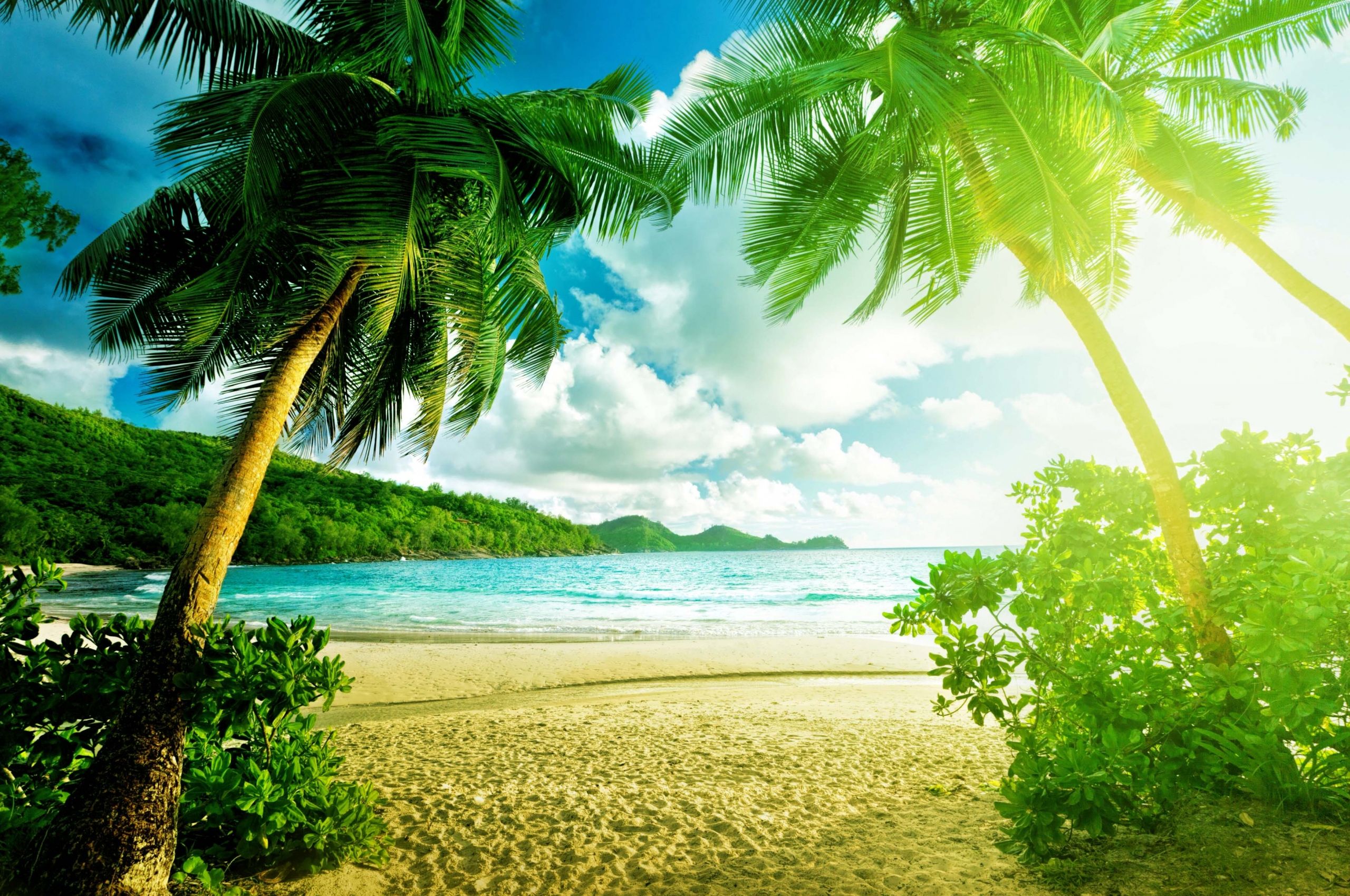 Summer Season Wallpapers Wallpaper Cave