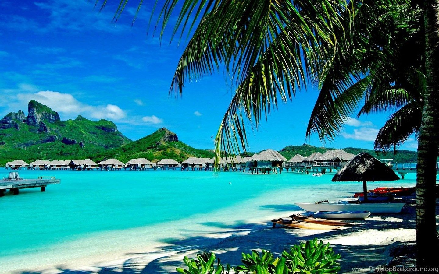 Summer Season Wallpaper