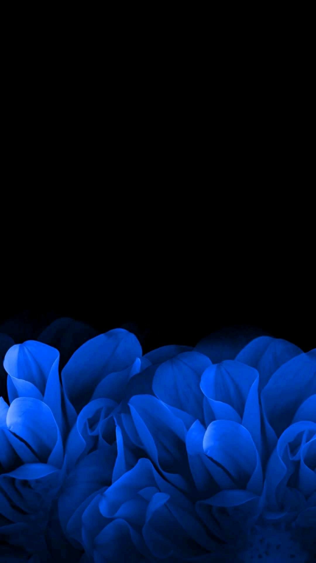 Amoled Black Flowers Wallpapers Wallpaper Cave